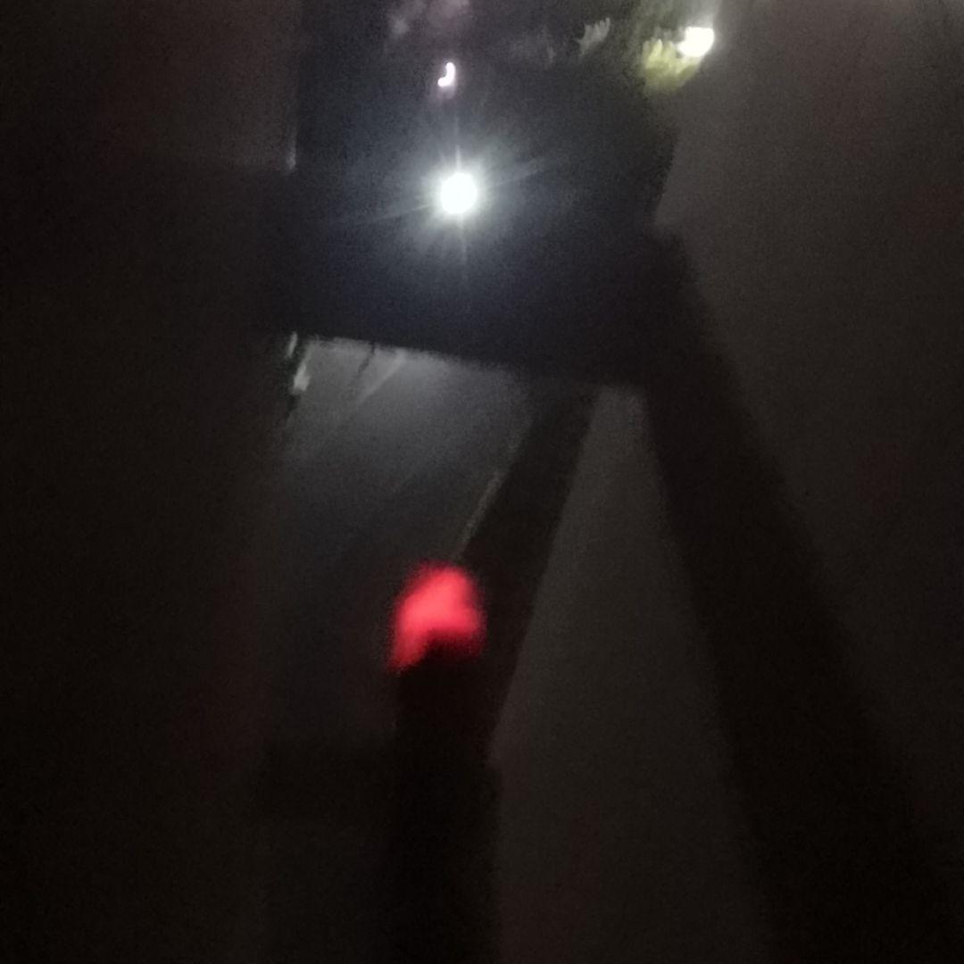 悲