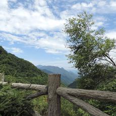 秦岭的风