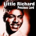Little Richard - Precious Lord专辑