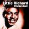 Little Richard - Precious Lord专辑