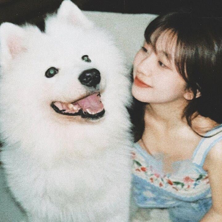 如果爱忘了