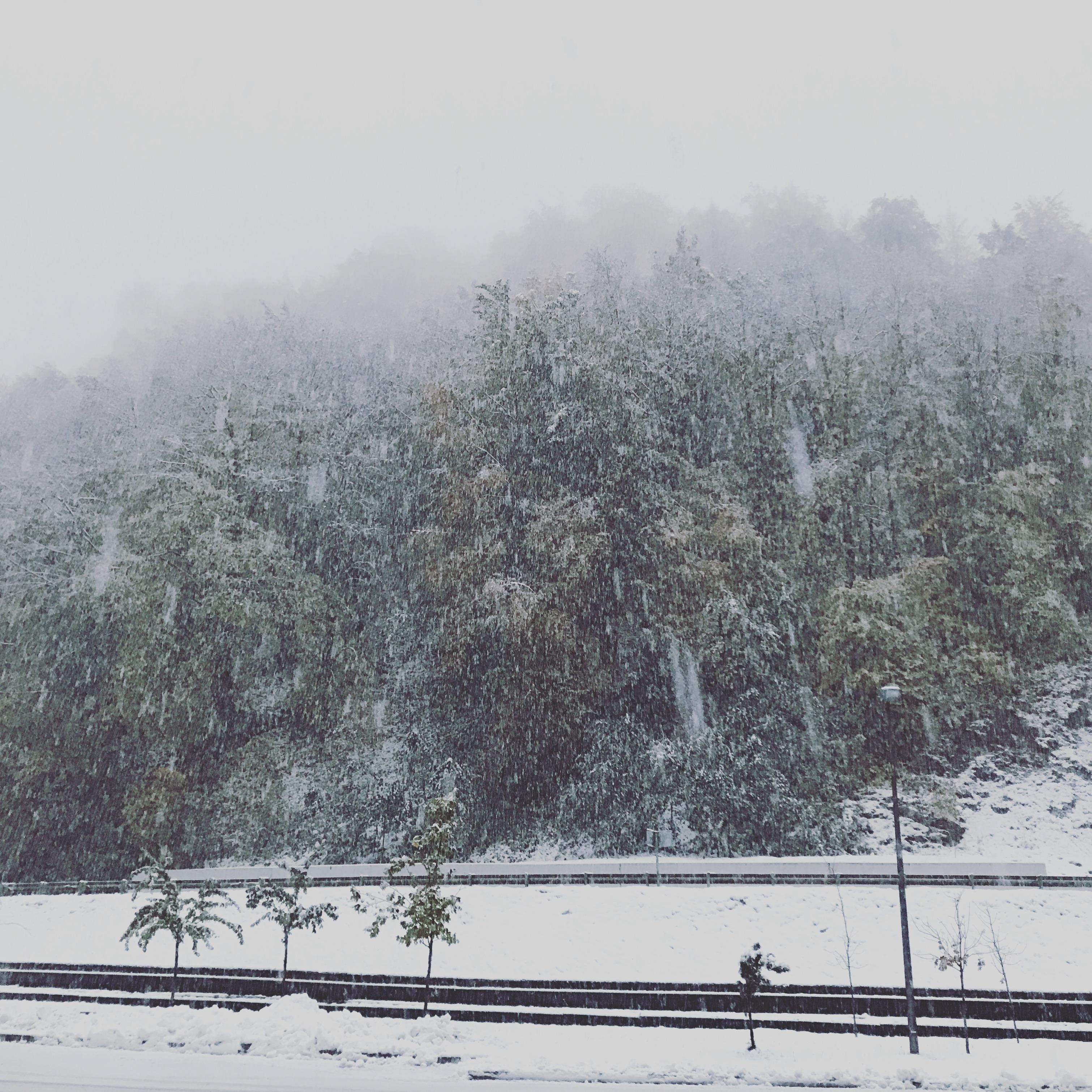 Silence of the heart