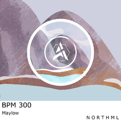 BPM300