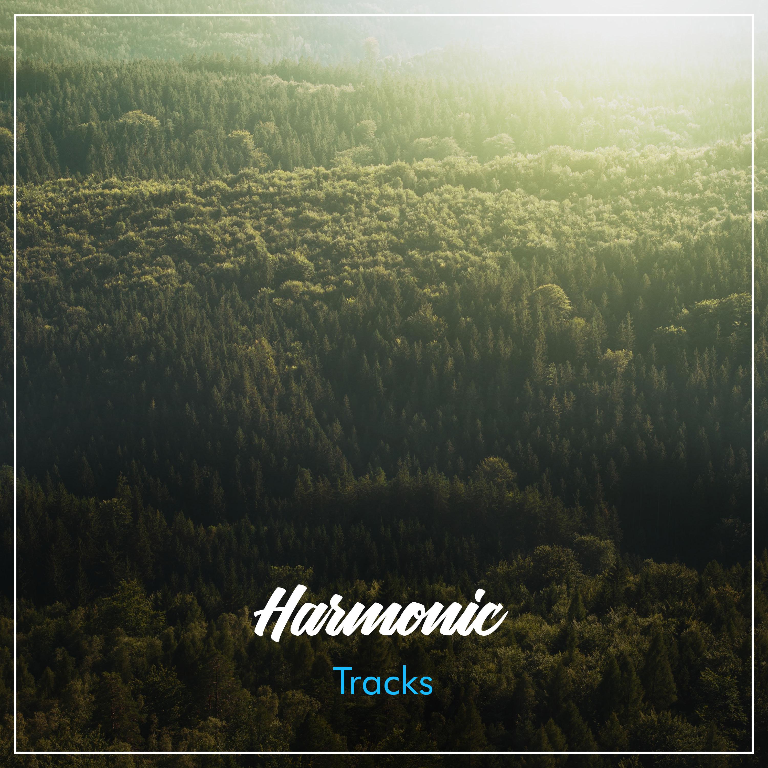 #19 Harmonic Tracks to Calm the Mind专辑