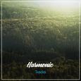 #19 Harmonic Tracks to Calm the Mind