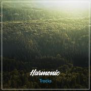 #19 Harmonic Tracks to Calm the Mind