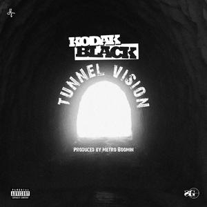 Tunnel Vision - Kodak Black (unofficial Instrumental) 无和声伴奏 （降8半音）