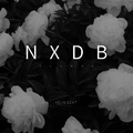 NXDB