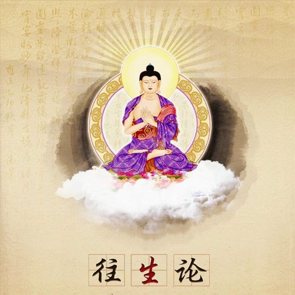往生论（无量寿经优波提舍愿生偈）