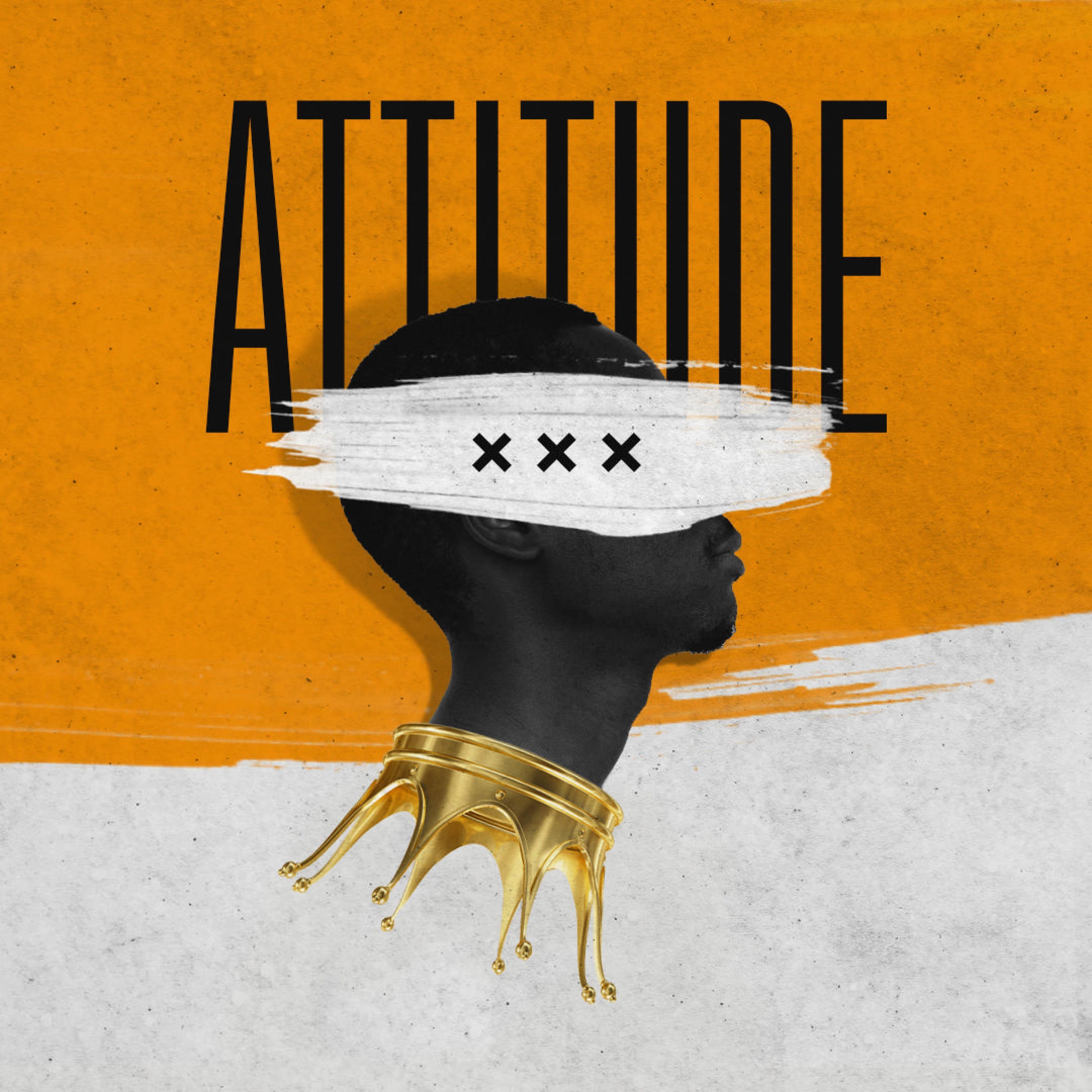 Attitude