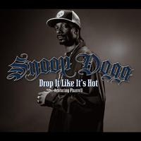 Snoop Dogg - Drop It Like Its Hot (Instrumental) 无和声伴奏
