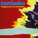 Fragments Of Freedom专辑