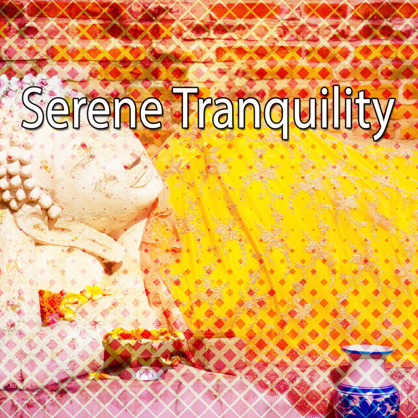 Serene Tranquility专辑