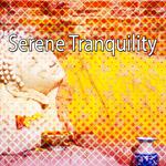 Serene Tranquility专辑