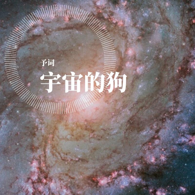 宇宙的狗
