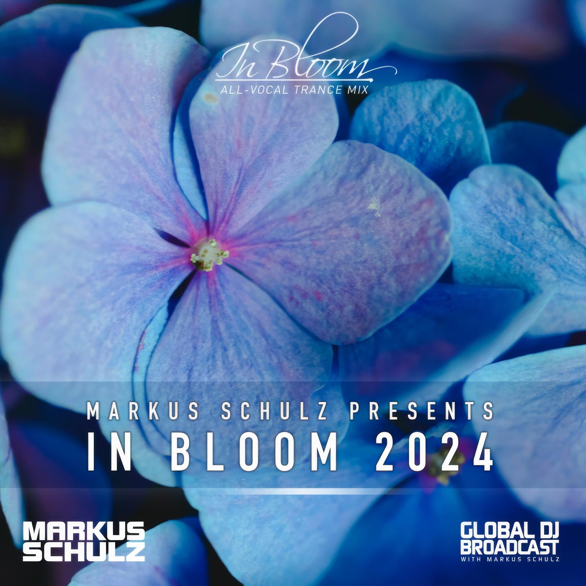 Markus Schulz - Light On (In Bloom 2024)