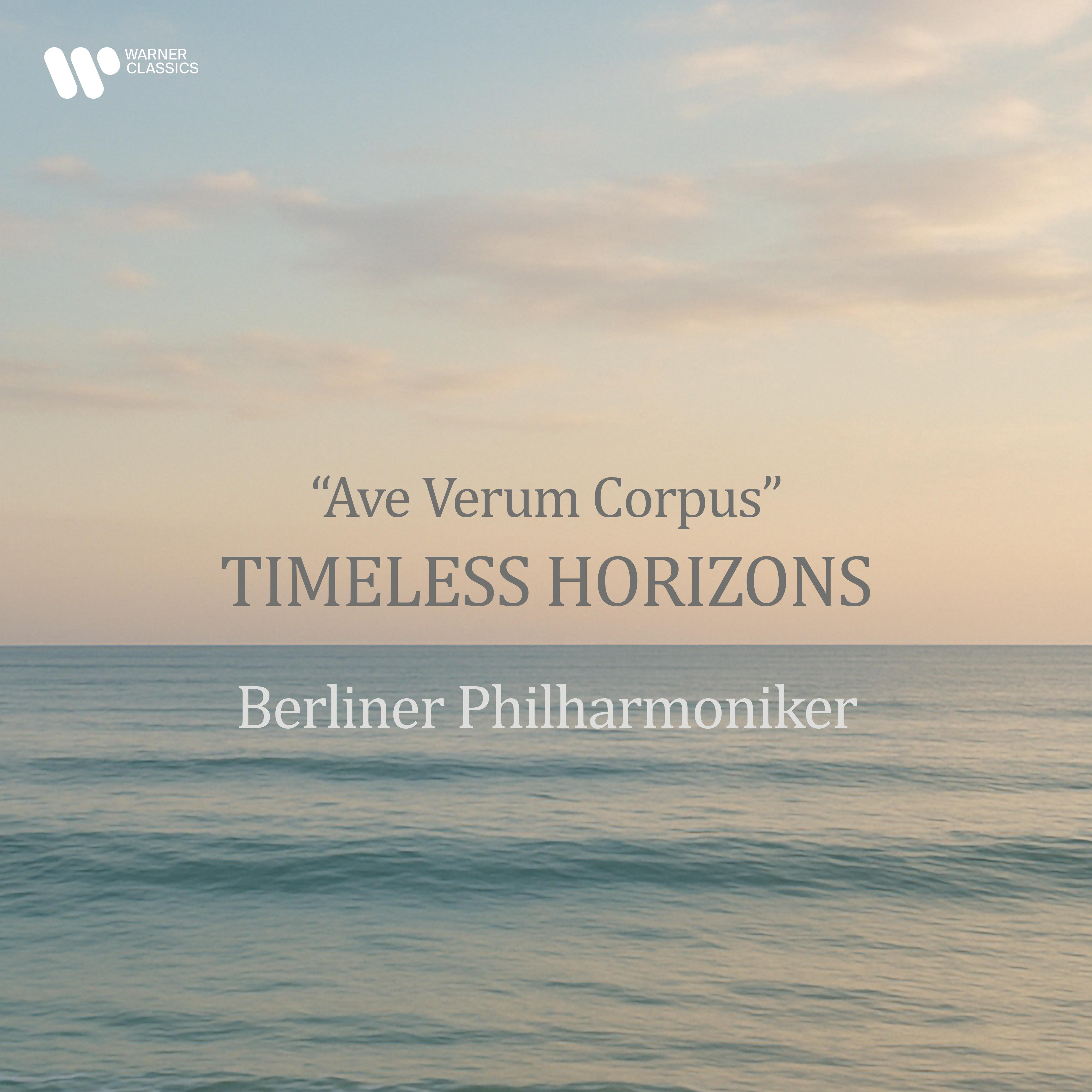 Violin Concerto in D Major, Op. 35:I. Allegro moderato, Pt. 4