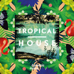 Tropical House专辑