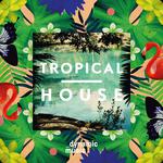 Tropical House专辑