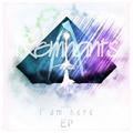 Remnants(SimorE Remix)