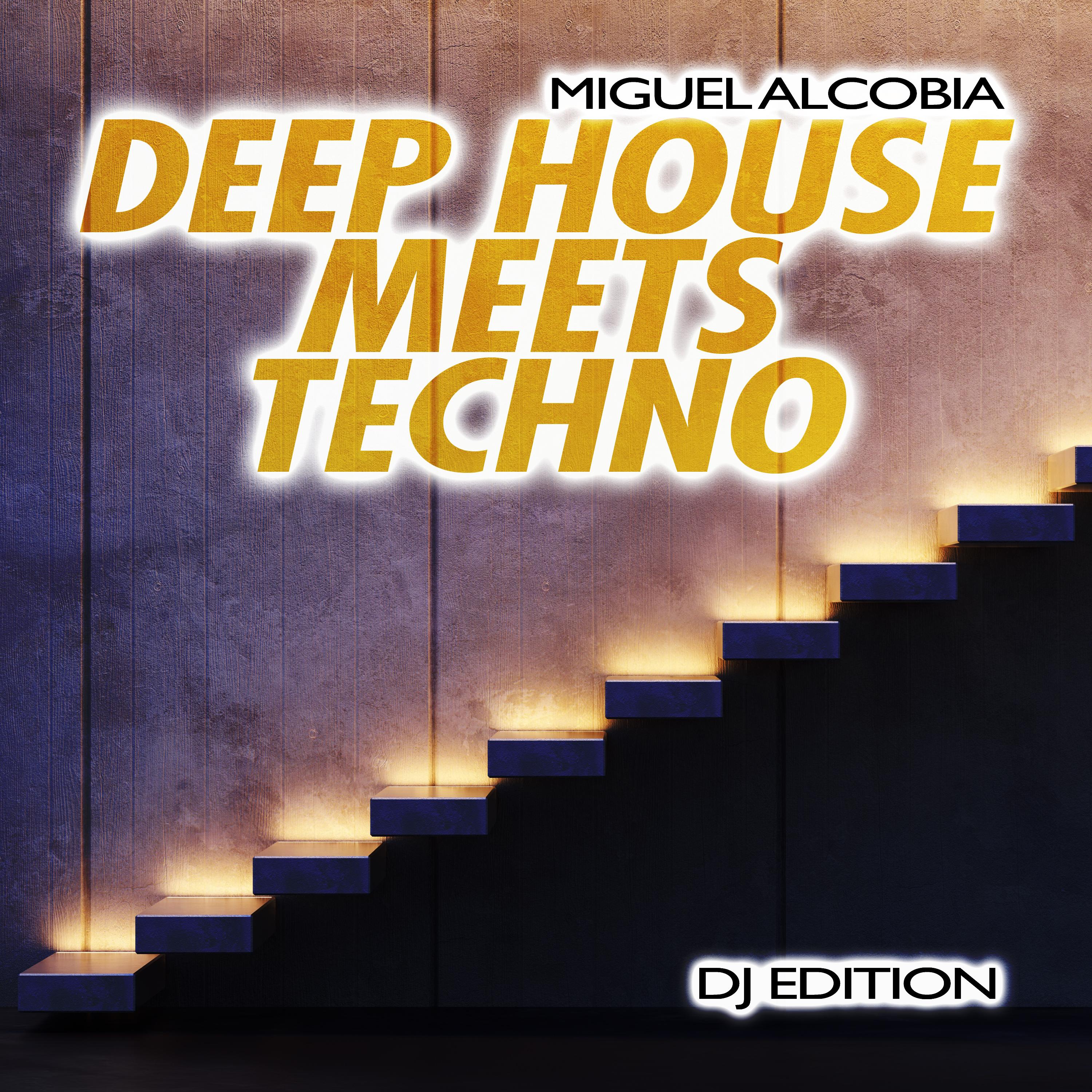 Deep House Meets Techno (DJ Edition)