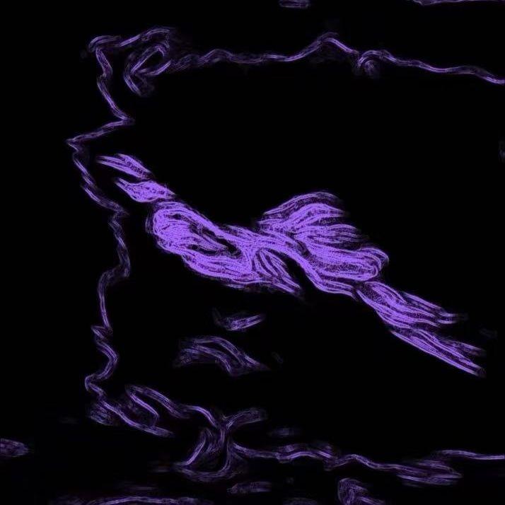 Dream_1（phonk）