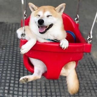 你要学会在深夜痛哭之后，微笑地拥抱明天