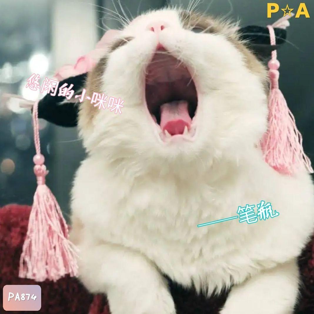 悠闲的小咪咪