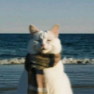 【纯音乐】适合放松时循环的旋律