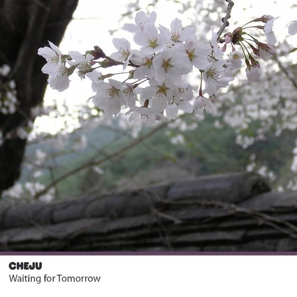 Waiting For Tomorrow