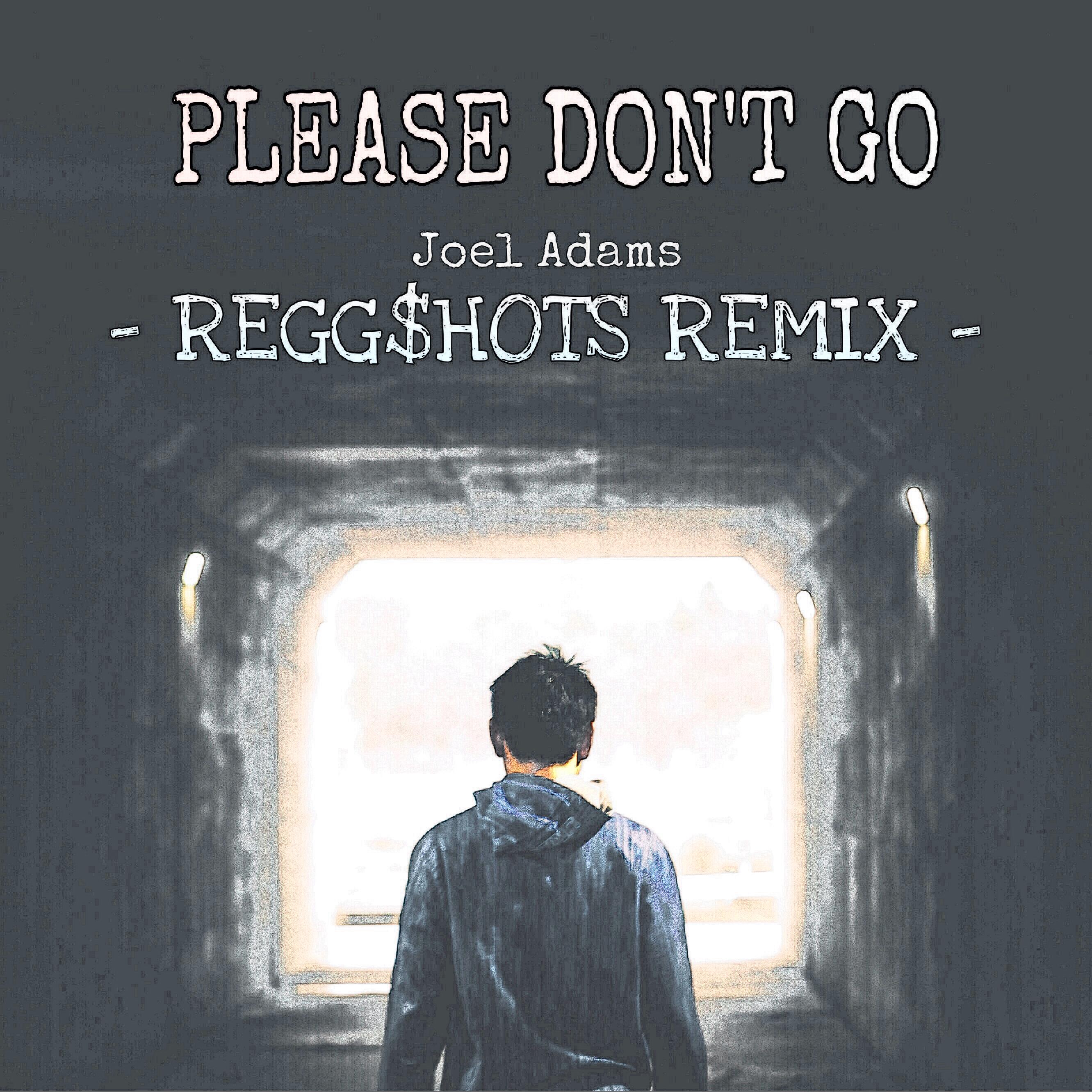 Please Don't Go(REGG$HOTS Remix)专辑