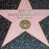 David Hasselhoff - Love Me Tender