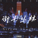 街头丛林Street Jungle专辑