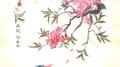 花朝 · 拾春记专辑