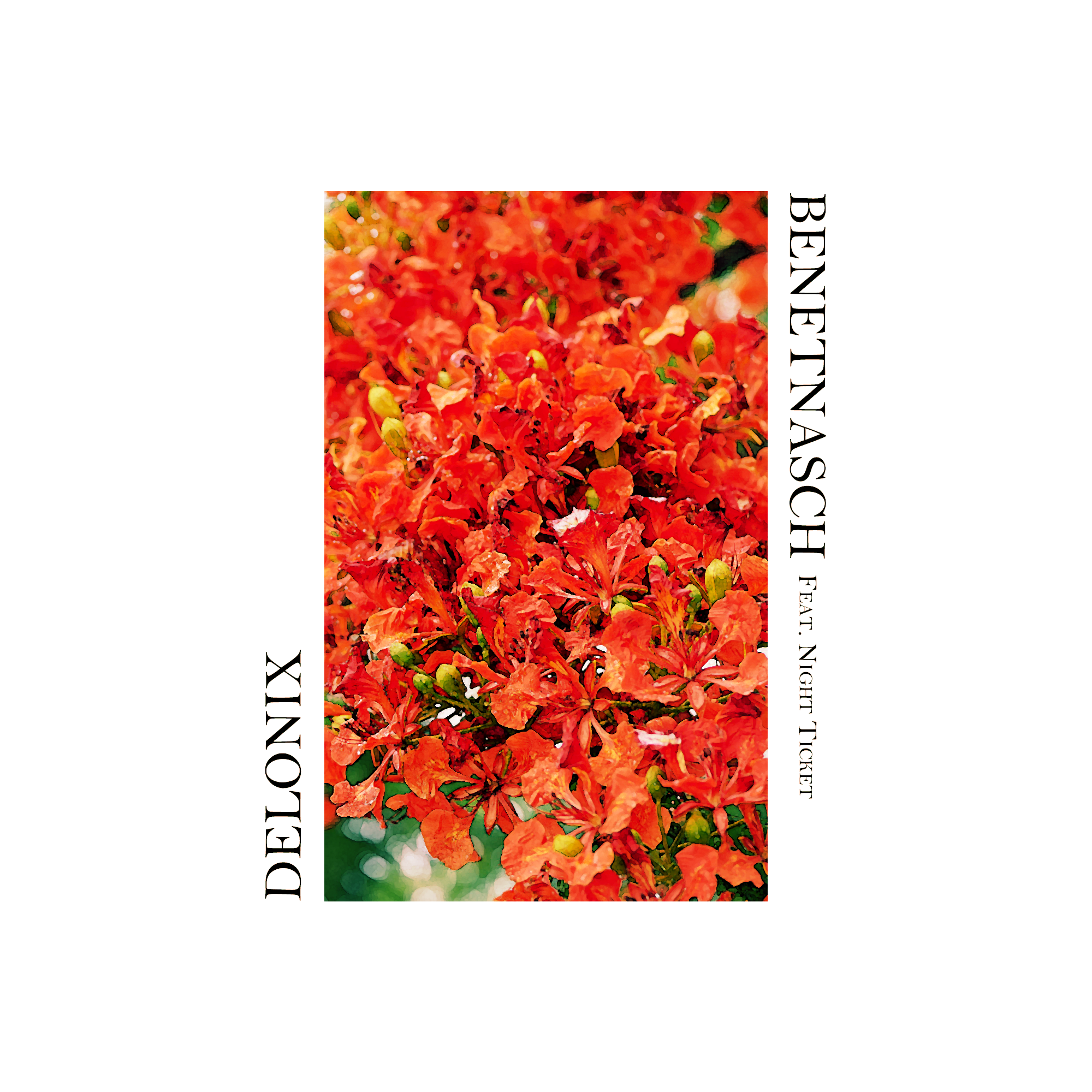 Delonix(feat.Night Ticket)