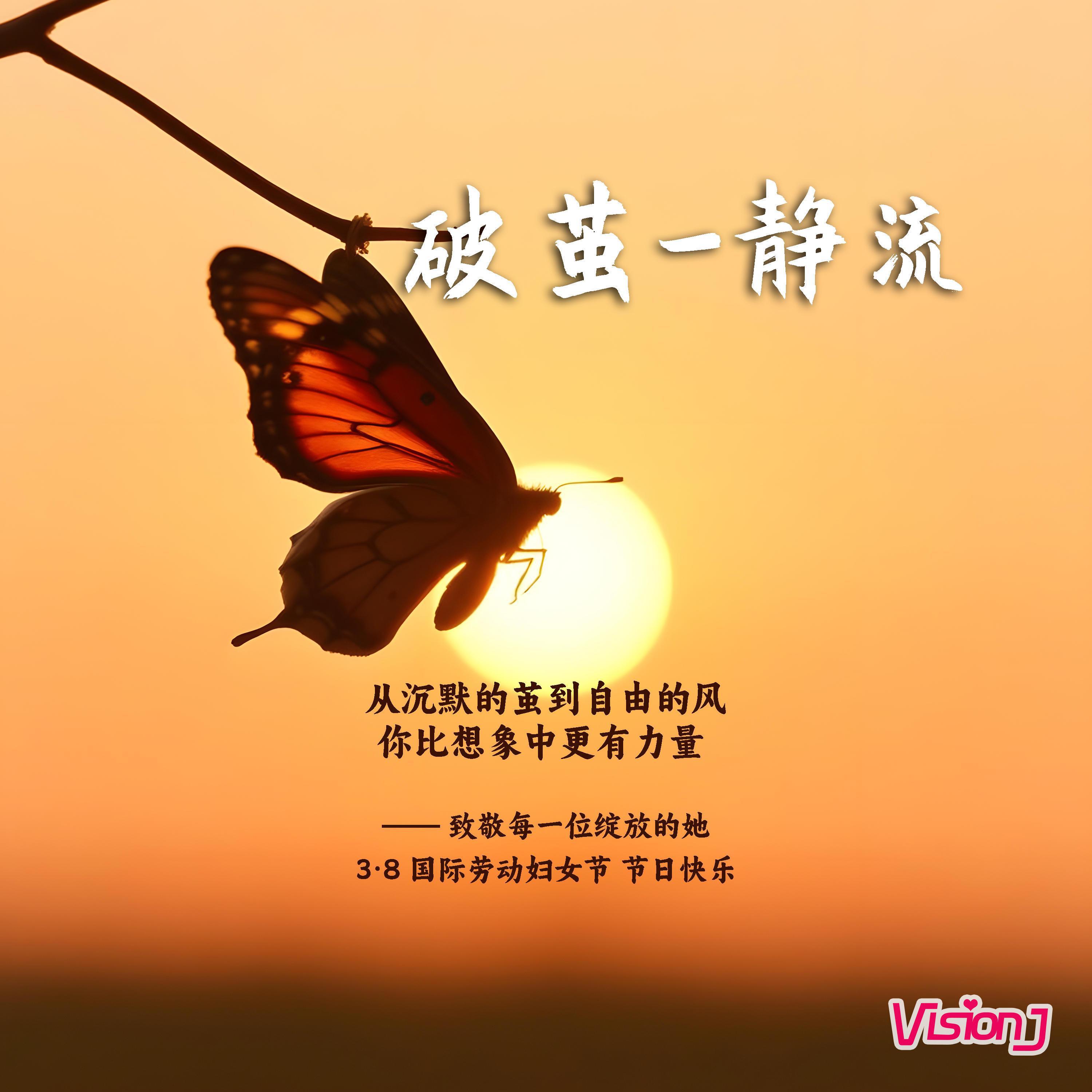 破茧-静流