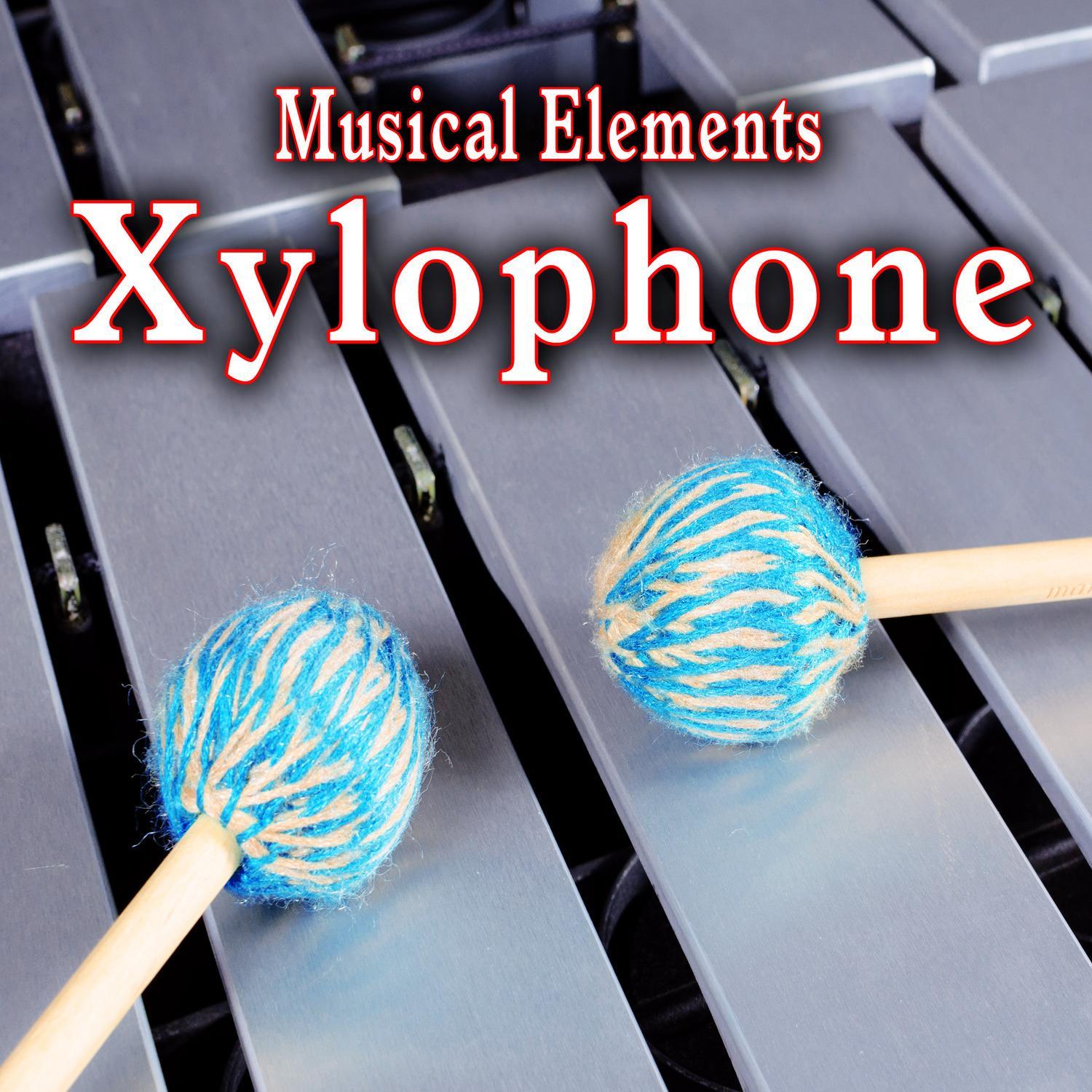 Xylophone Accent 1