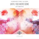 Until You Were Gone (Justin Caruso Remix)专辑
