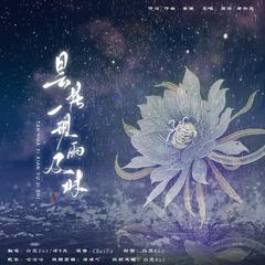 昙花一现雨及时【再次疯狂试探】