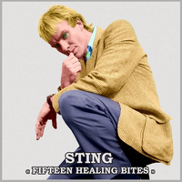 Sting - Mad About You (unofficial Instrumental) 无和声伴奏