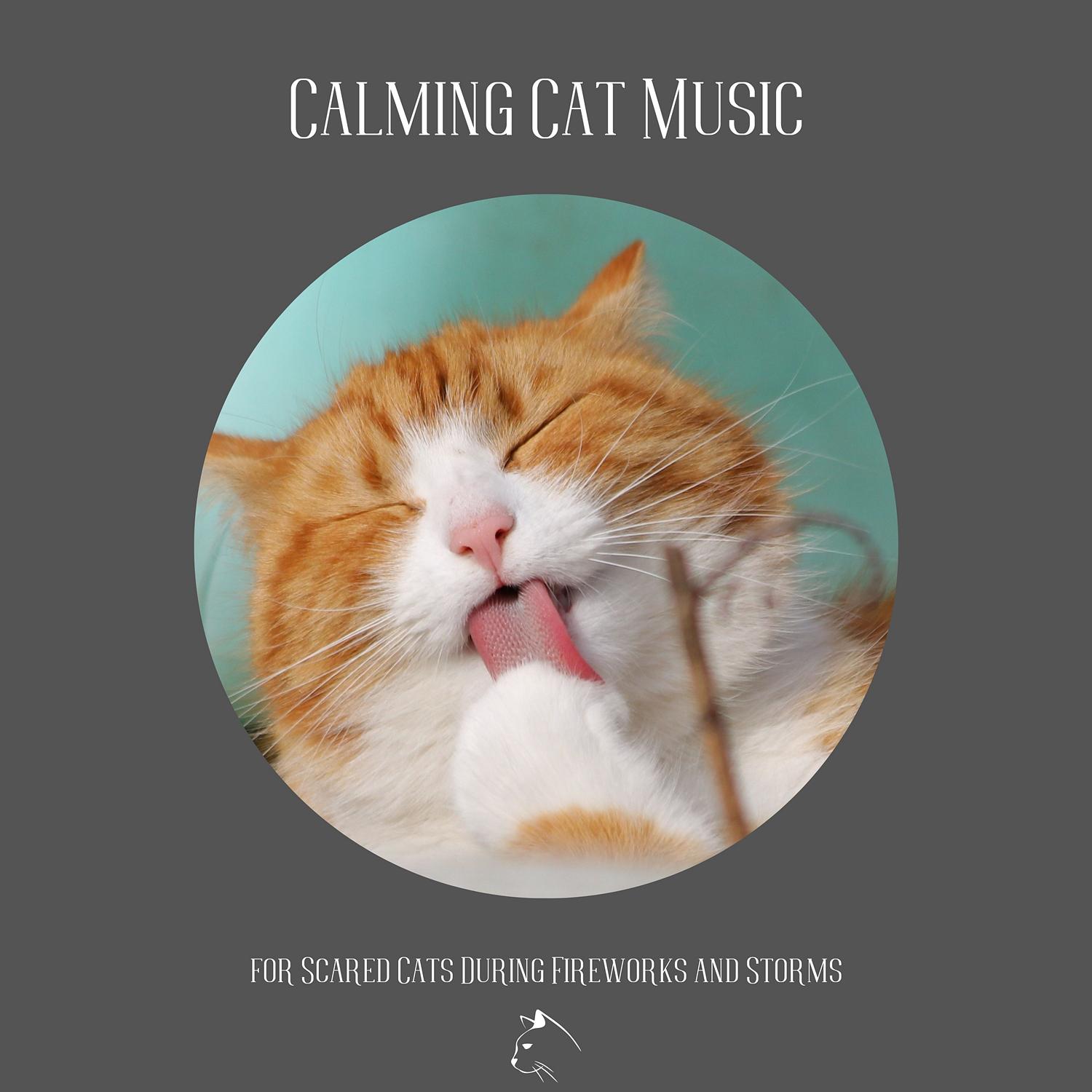 Calming Cat Music for Scared Cats During Fireworks and Storms - Relax ...