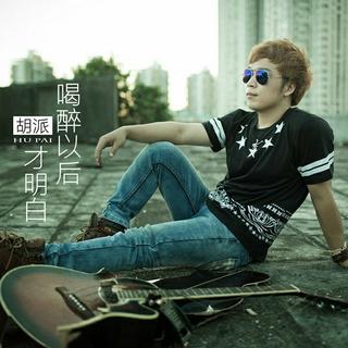 中文车载DJ