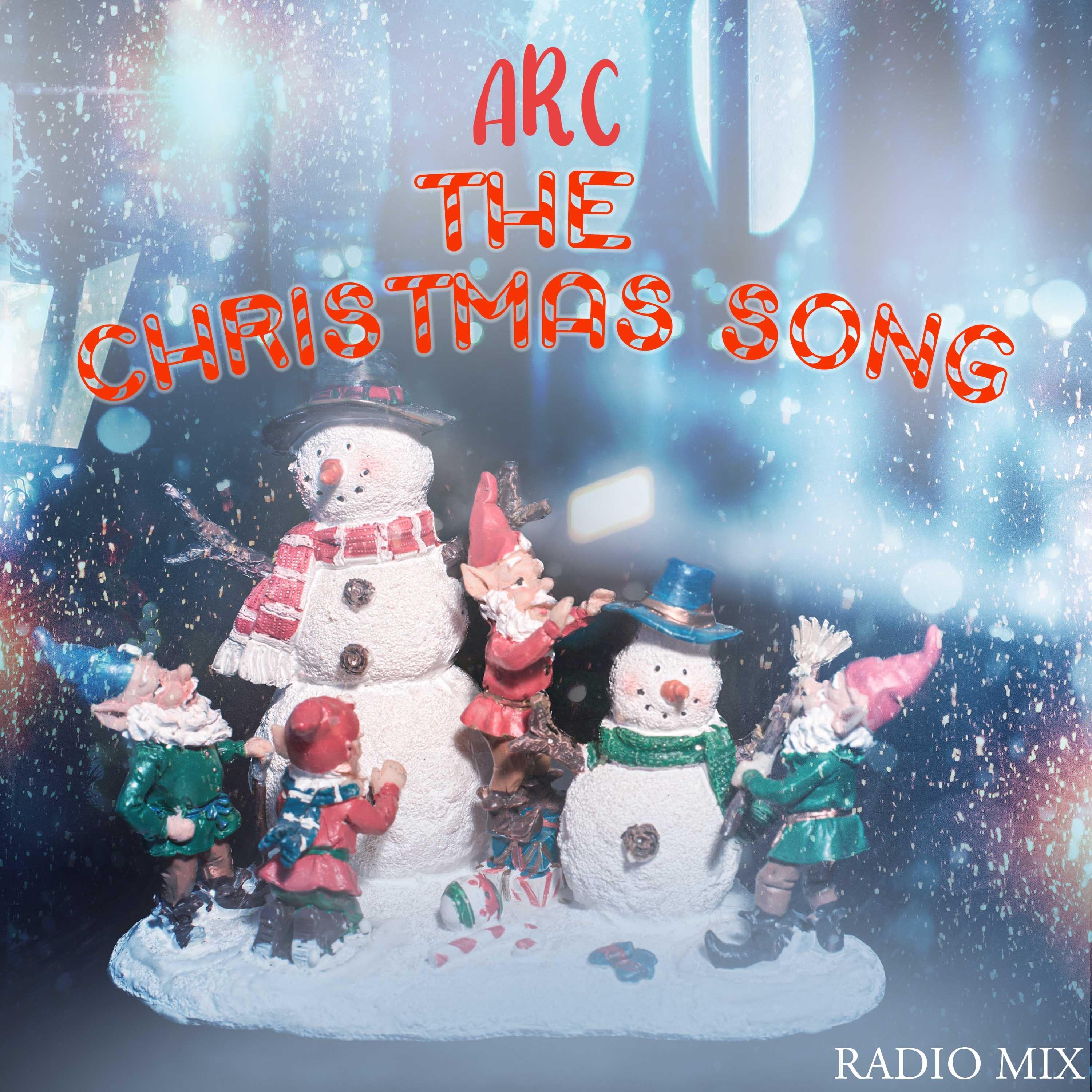 Christmas Song (Radio Mix)