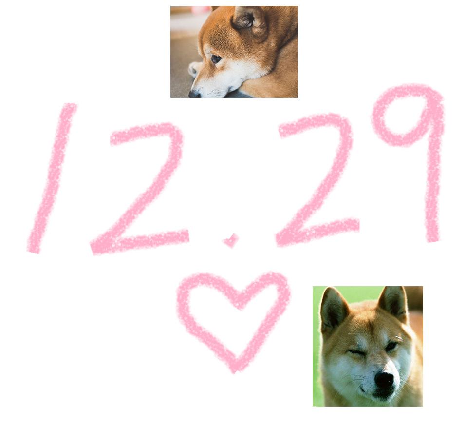 1229专辑