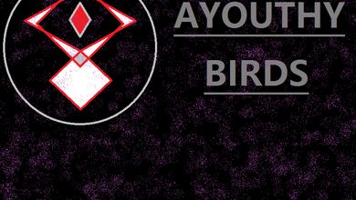 Ayouthy-Birds