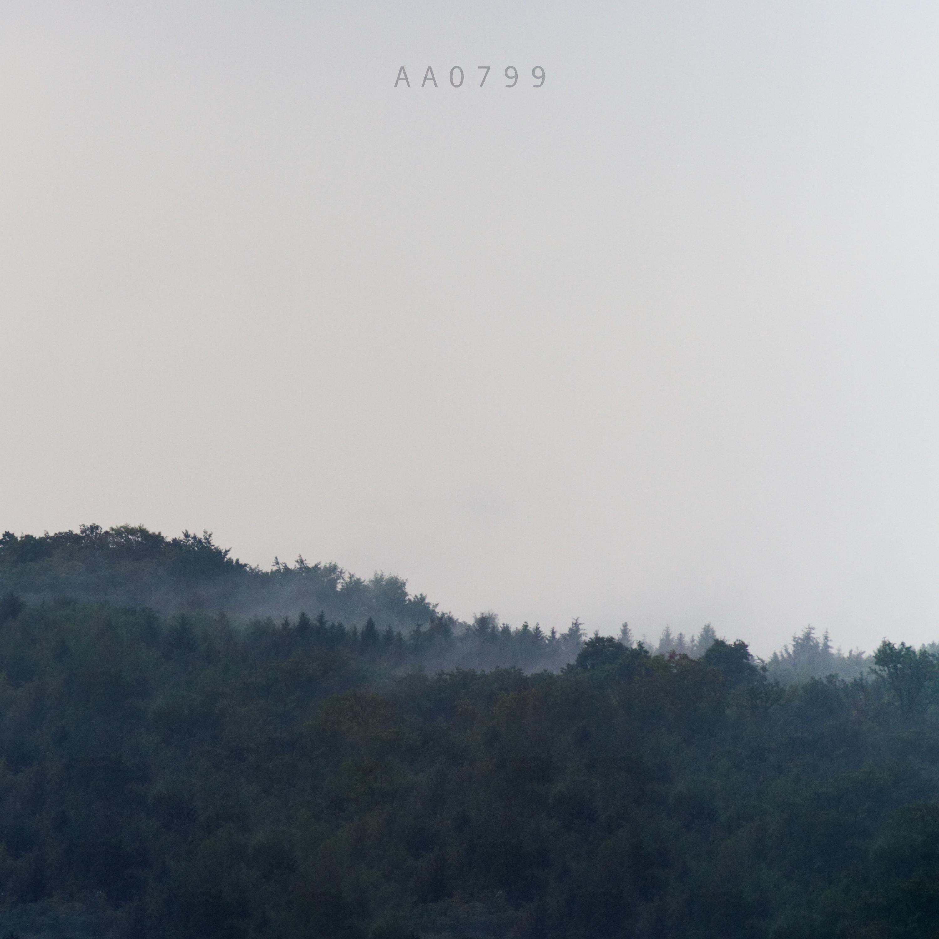 AA0799