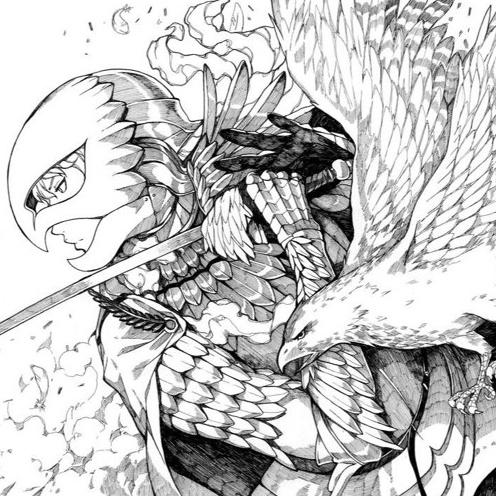 Hawk 鷹