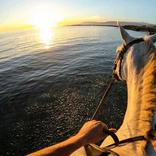 网络流行嗨曲【2019】