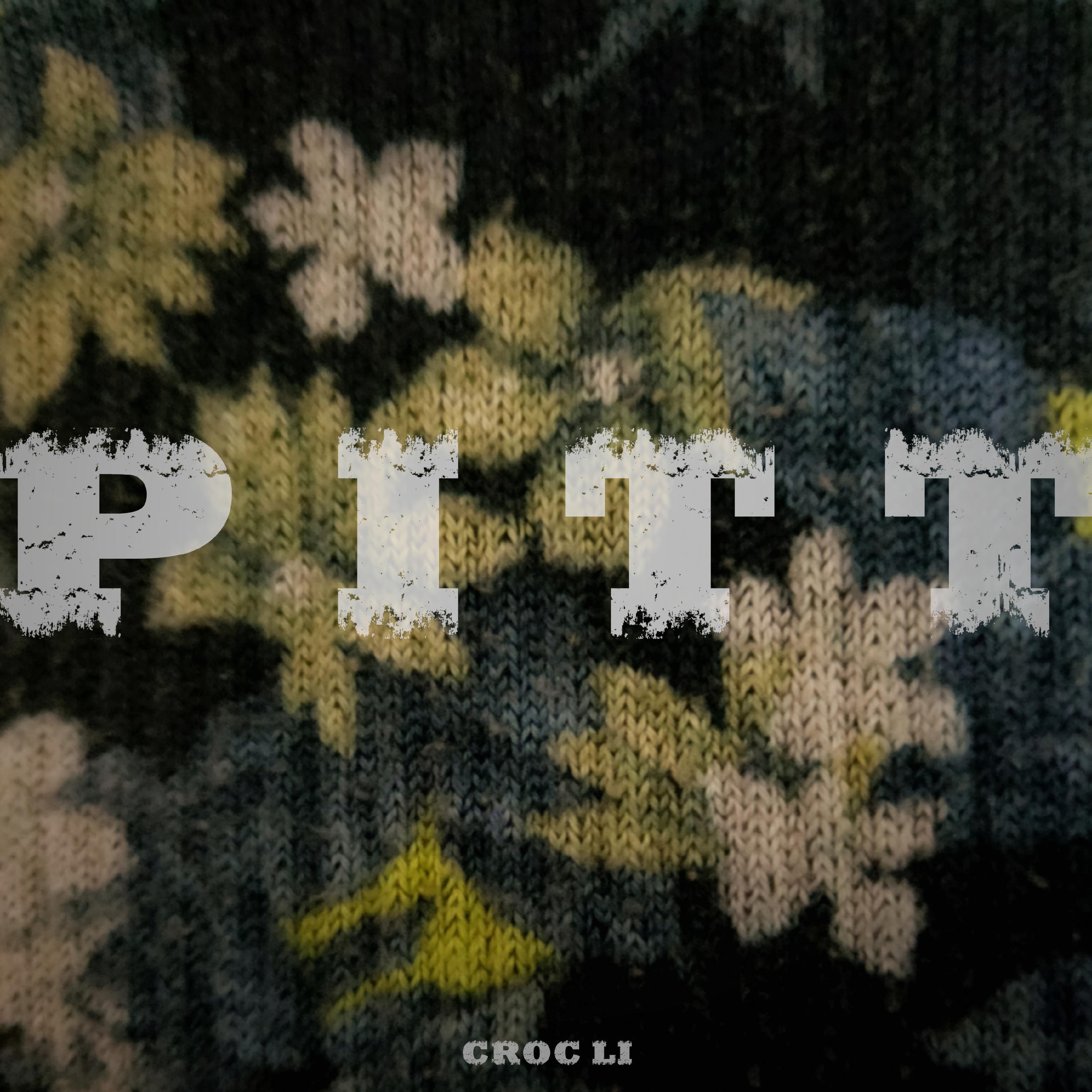 PITT（Demo）