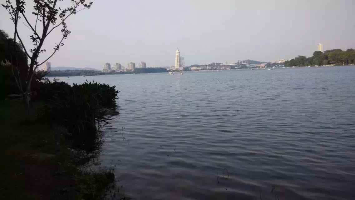 别让我醒来